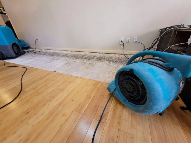 Professional Water Extraction technician working in Solon, OH